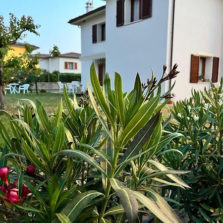 Private Apartment With Garden Cannigione Exteriér fotografie