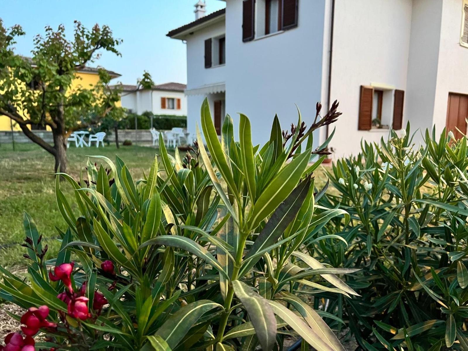 Private Apartment With Garden Cannigione Exteriér fotografie